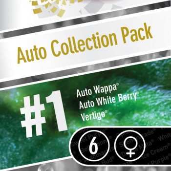 Auto Collection Pack #1 - 6 Samen