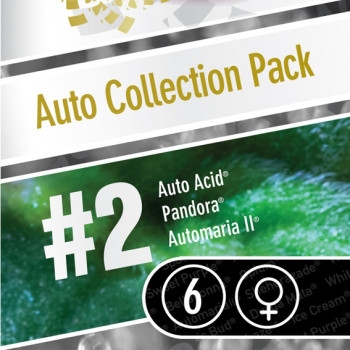Auto Collection Pack #2 - 6 Samen