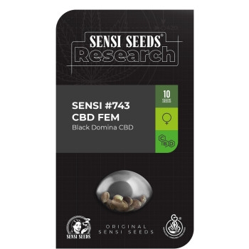 Black Domina CBD feminisiert (Research Serie) - 10 Samen