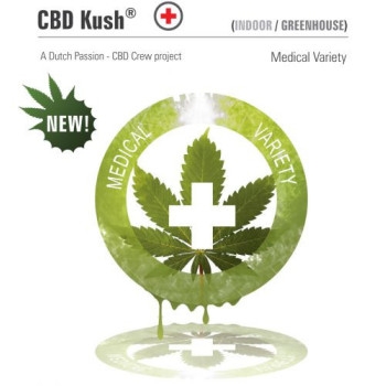 CBD Kush Feminisiert - 5 Samen