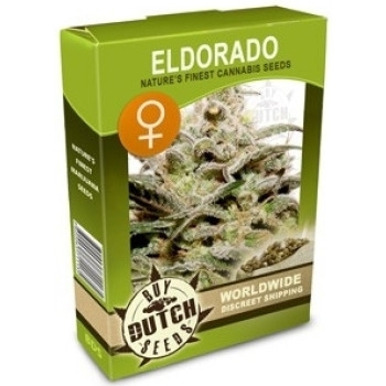 Eldorado Feminsiert - 5 Samen