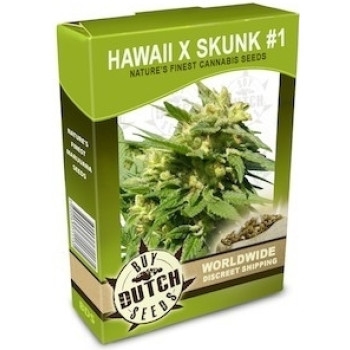 Hawaii x Skunk 1 - 10 Samen