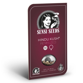 Hindu Kush Feminisiert (Classic Redux Serie) - 10 Samen