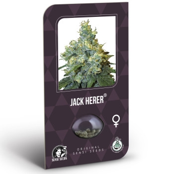 Jack Herer Feminisiert (Classic Redux Serie) - 3 Samen