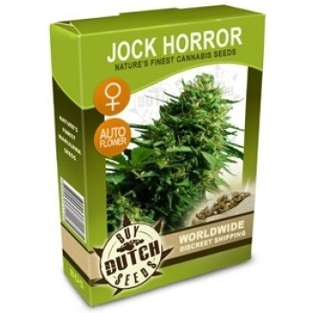 Jock Horror Feminisiert Autoflowering - 5 Samen
