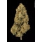 Atomical Haze Feminisiert - 10 Samen