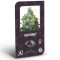 Jack Herer Feminisiert (Classic Redux Serie) - 5 Samen
