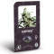 Silver Haze Feminisiert (Classic Redux Serie) - 10 Samen