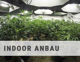 Indoor Anbau